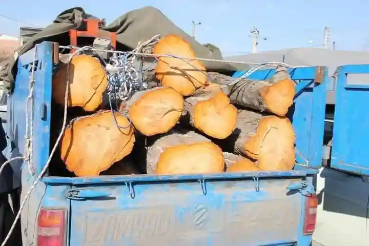 کشف چوب فاقد مجوز حمل در تیل آباد