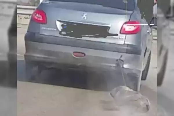 راننده حیوان‌آزار در رامیان دستگیر شد