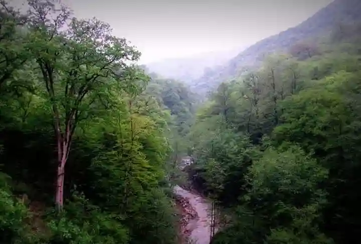 سازمان منابع طبیعی، ارتقای پارک‌های جنگلی کشور را در دستور کار دارد