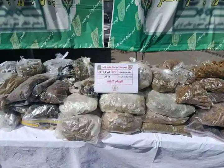 کشف ۲۵ کیلوگرم انواع مواد مخدر و دستگیری سوداگر مرگ در آزادشهر