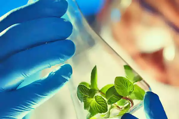 آزادشهر میزبان چهارمین همایش ملی دستاوردهای علوم کشاورزی