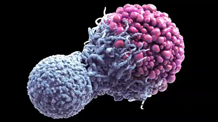 غربالگری رایگان سه سرطان مهم در زنان گلستانی