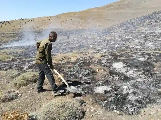 آتش سوزی در جنگل کوه‌میان آزادشهر مهار شد