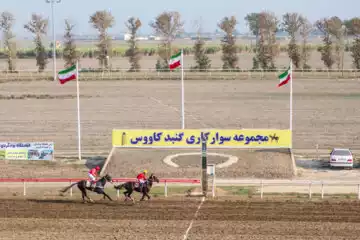 ۳۰ میلیارد ریال جایزه برای هفته دوم اسبدوانی گنبدکاووس تعیین شد
