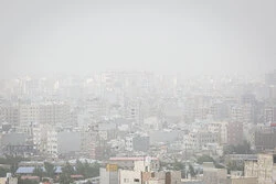 گردوغبار در کمین گلستان؛ احیای طبیعت با دستان خالی