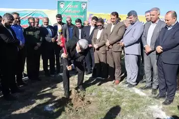 آغاز فاز دوم توسعه زنجیره چیکا طلایی گلستان با ظرفیت ۲ هزار اشتغال