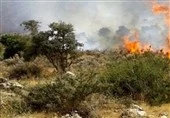 آتش‌سوزی در دل جنگل گلستان‌ با سهل‌انگاری گردشگران/ زنگ خطر ‌به صدا درآمد