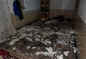 ماجرای خانه‌های تخریب شده در روستای " وطن" آزادشهر؛ از ادعای نماینده تا تکذیب بنیاد مسکن