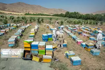 فرماندار: ۹۲۷ فرصت شغلی در مراوه‌تپه ایجاد شد