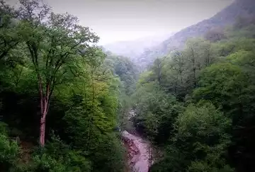 سازمان منابع طبیعی، ارتقای پارک‌های جنگلی کشور را در دستور کار دارد