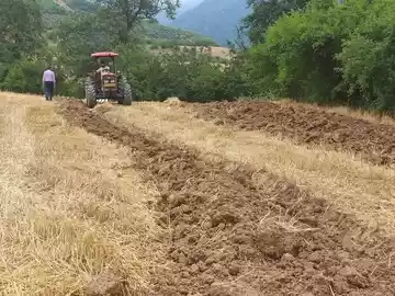 احداث ۱۰۰ کیلومتر آتش‌بر در شهرستان آزادشهر