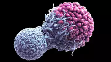 غربالگری رایگان سه سرطان مهم در زنان گلستانی