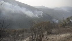 آتش سوزی در جنگل های سوزنی برگ رامیان مهار شد