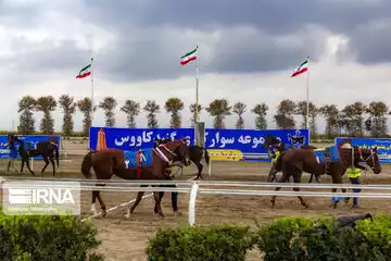 پرونده هفته دوازدهم کورس گنبدکاووس با معرفی اسب‌های برتر بسته شد+ فیلم