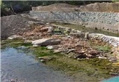 بیش از ۱۶ هزار مترمربع از حریم رودخانه‌های رامیان در استان گلستان آزادسازی شد